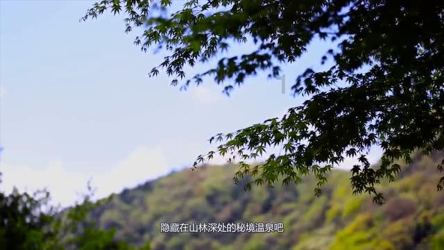 急速变色龙