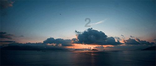 救援袋鼬
